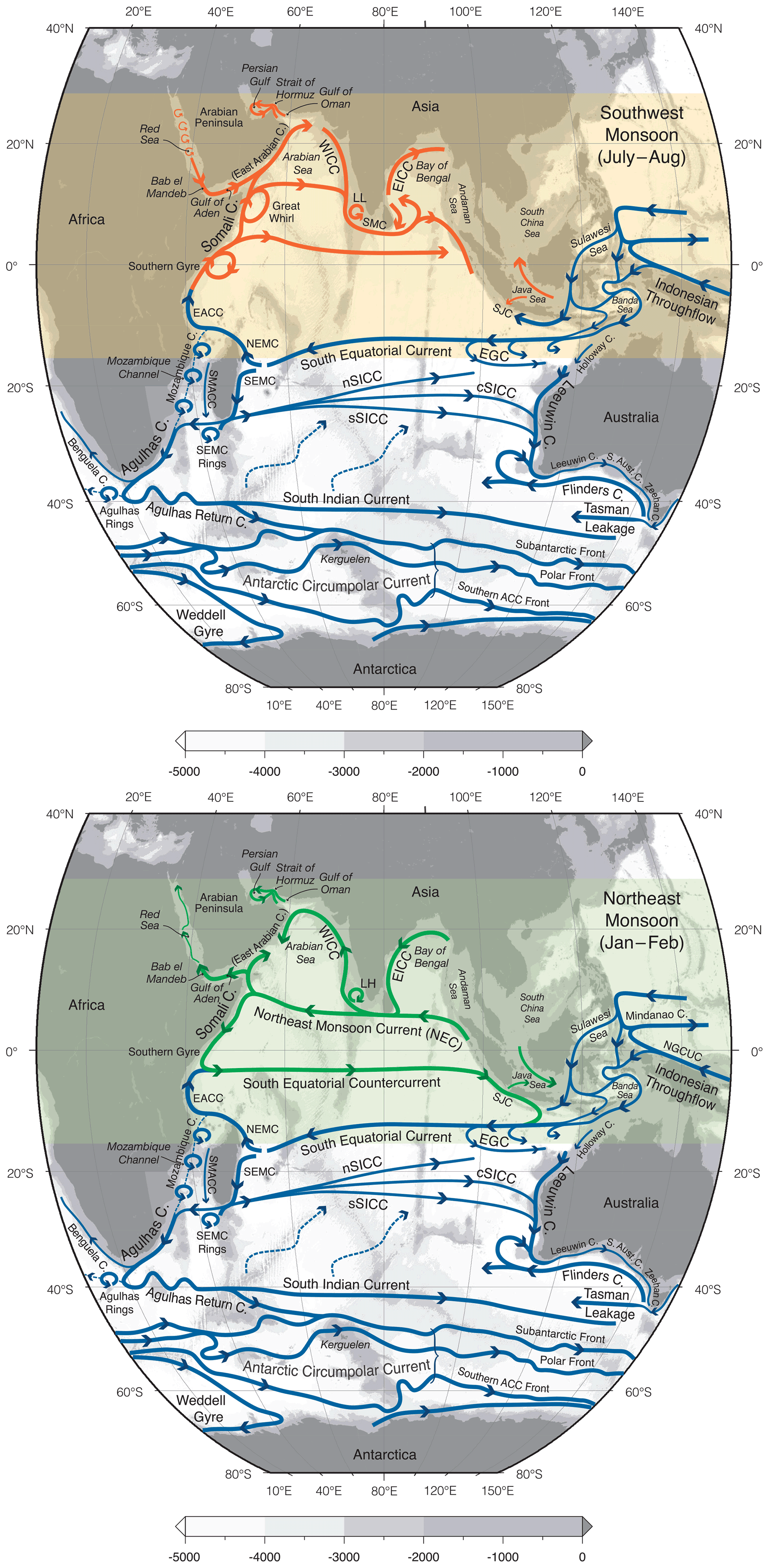 Contrasting surface warming of a marginal basin due to large-scale climatic  patterns and local forcing