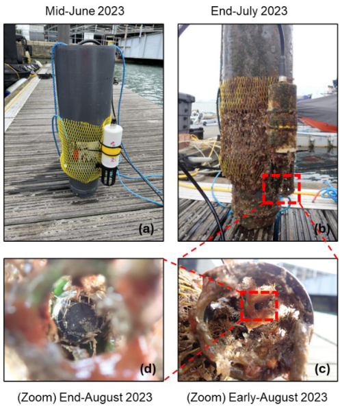 https://os.copernicus.org/articles/22/1609/2026/os-22-1609-2026-f01